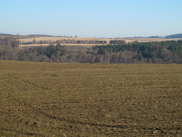 Farmland east of Farnley Oaks (3)