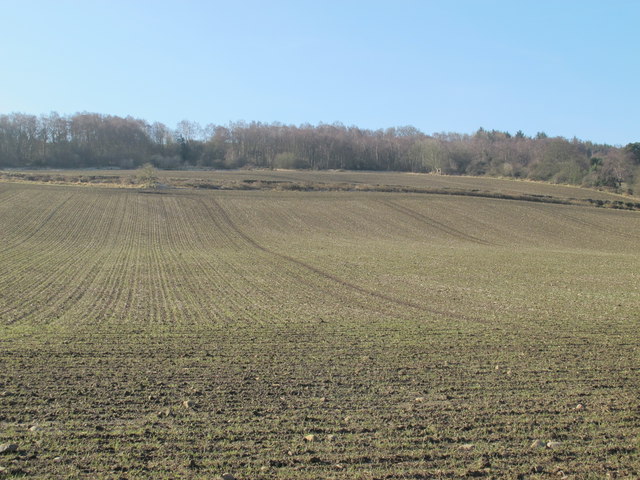 Farmland and woodland south of Farnley