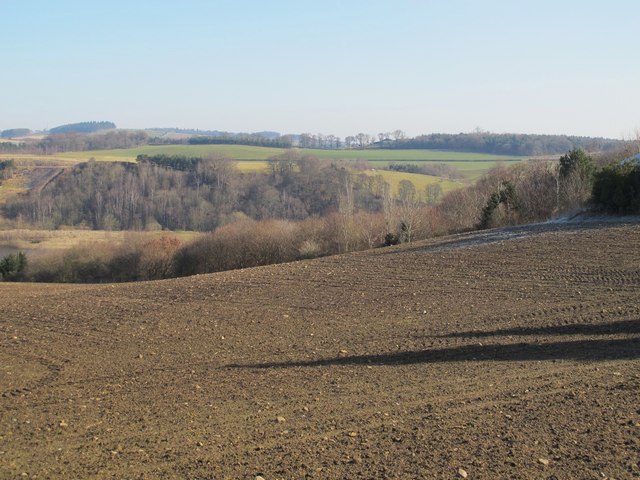 Farmland and woodland north of Farnley Gate