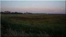 TM4555 : Aldeburgh Marshes by DS Pugh
