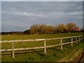 Prosperous Home Farm, evening light