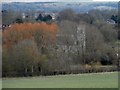 Shalbourne Church behind the trees