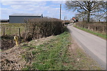 SO6246 : Road approaching Lower Bridge End Farm by Philip Halling