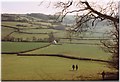 East Devon Way approaching Higher Bruckland, 1996