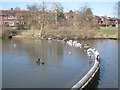 Weir, Batchley Pool, Batchley, Redditch