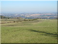 Farmland west of Broomley Pit House