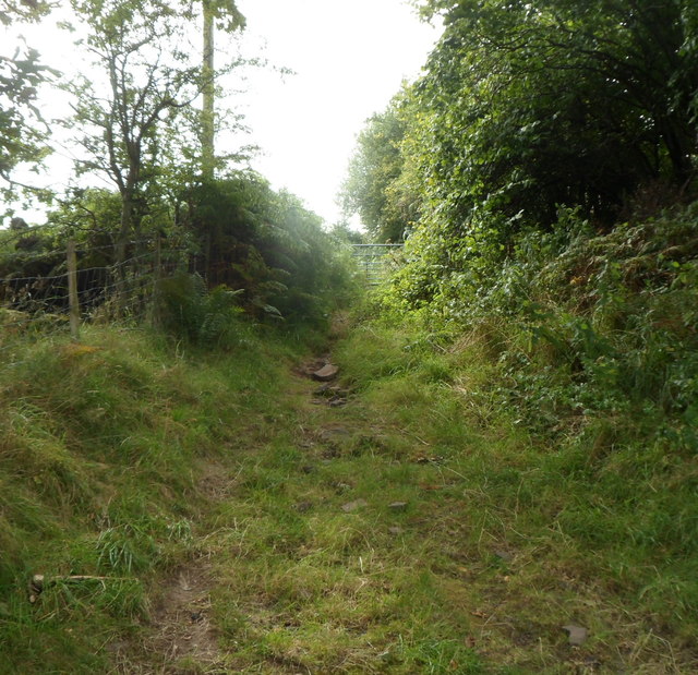Bridle path to The Hill near Talybont Reservoir