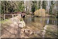 Footbridge & ford (River Anton)