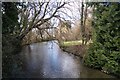 River Anton - Goodworth Clatford