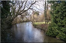 SU3642 : River Anton - Goodworth Clatford by Mr Ignavy