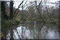 Flooding by the River Len