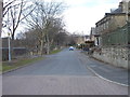 Horton Street - viewed from Sunnyside