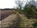 Ploughed-up path beside ploughed field