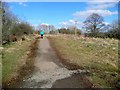 Path between Langlands Moss Nature Reserve and Calderglen Country Park