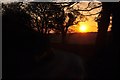 Mid Devon : Country Road at Sunset