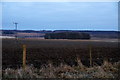 NO1128 : Fields along Stormontfield Road, near Old Scone by Mike Pennington