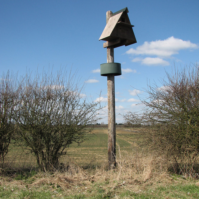 Bird-box on Haven Drove
