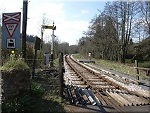 SX7963 : The South Devon Railway near Staverton village by David Gearing