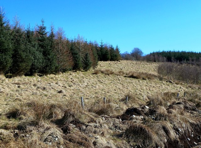 Loch Duisk, South Ayrshire - area information, map, walks and more