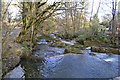 River Severn downstream from Felindre Mill