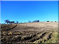 NZ2344 : View south over fields beside the railway walk by Robert Graham