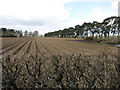 Furrowed field by Croxton Road