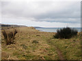 NT9955 : Cliff top public footpath by Graham Robson