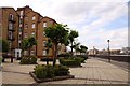 Ornamental trees on Pageant Crescent