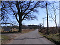 Minsmere Road, Dunwich