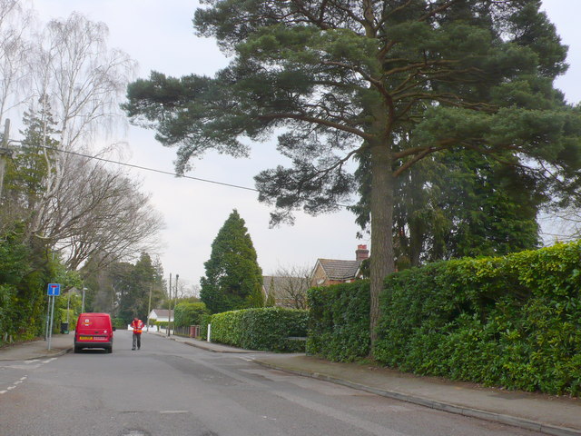 The Avenue West Moors