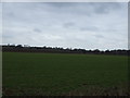 SP2959 : Farmland off the B4087 by JThomas