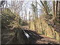 Bridge,  Tenbury & Bewdley  Railway