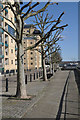 Thames Path on the Isle of Dogs