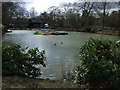 Boating lake, Leamington Spa