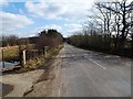 South Lane between Hoylandswaine and Tivy Dale