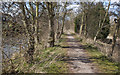 The Trans Pennine Trail