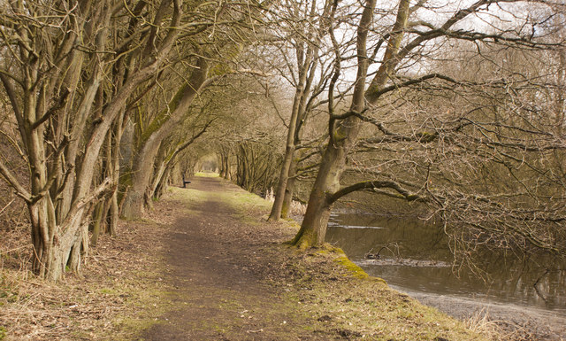A pleasant walk alongside the Runcorn and Latchford canal