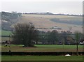 Looking towards East Farm, Fovant