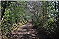 Mid Devon : Footpath