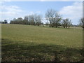 Farmland near Donnington