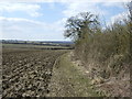 Farmland and hedgerow west off the Fosse Way