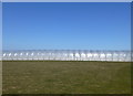 Polytunnels next to Mill Lane