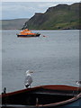 NG4843 : Portree: seagull and lifeboat by Chris Downer