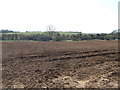 SP2149 : Ploughed field off the A3400 by JThomas