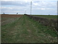 SP2052 : Farm track off Shipston Road by JThomas