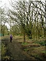 Footpath to Rimmer Lane