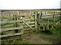 Kissing Gate