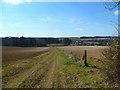 Farm track to Rodfield Lane