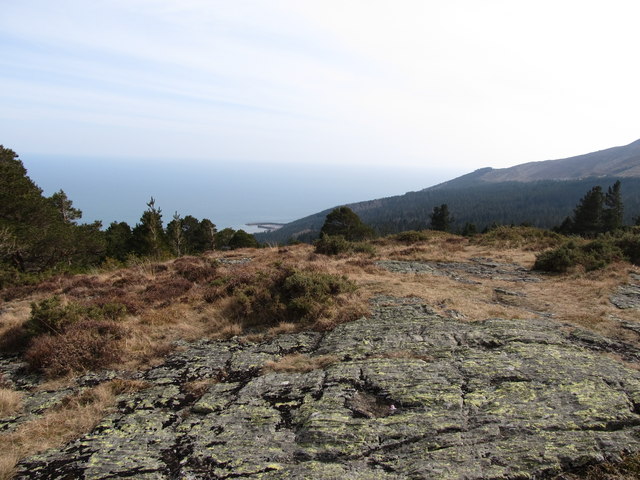 Rock outcrops on the summit of Drinnahilly