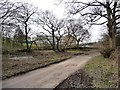 Pond alongside Manor House Lane